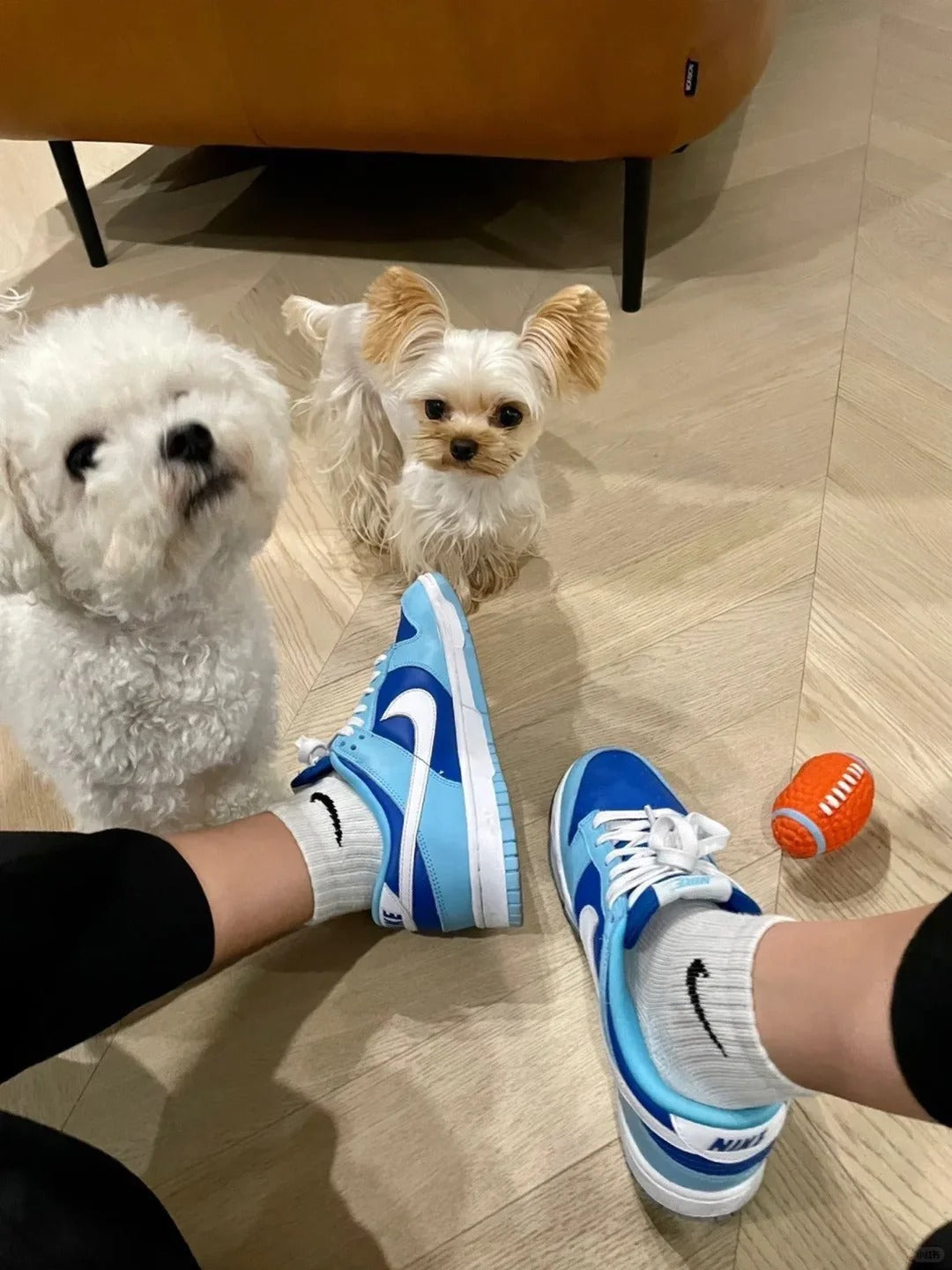 Blue White Low Top Sneakers Men Retro Casual Skate Shoes
